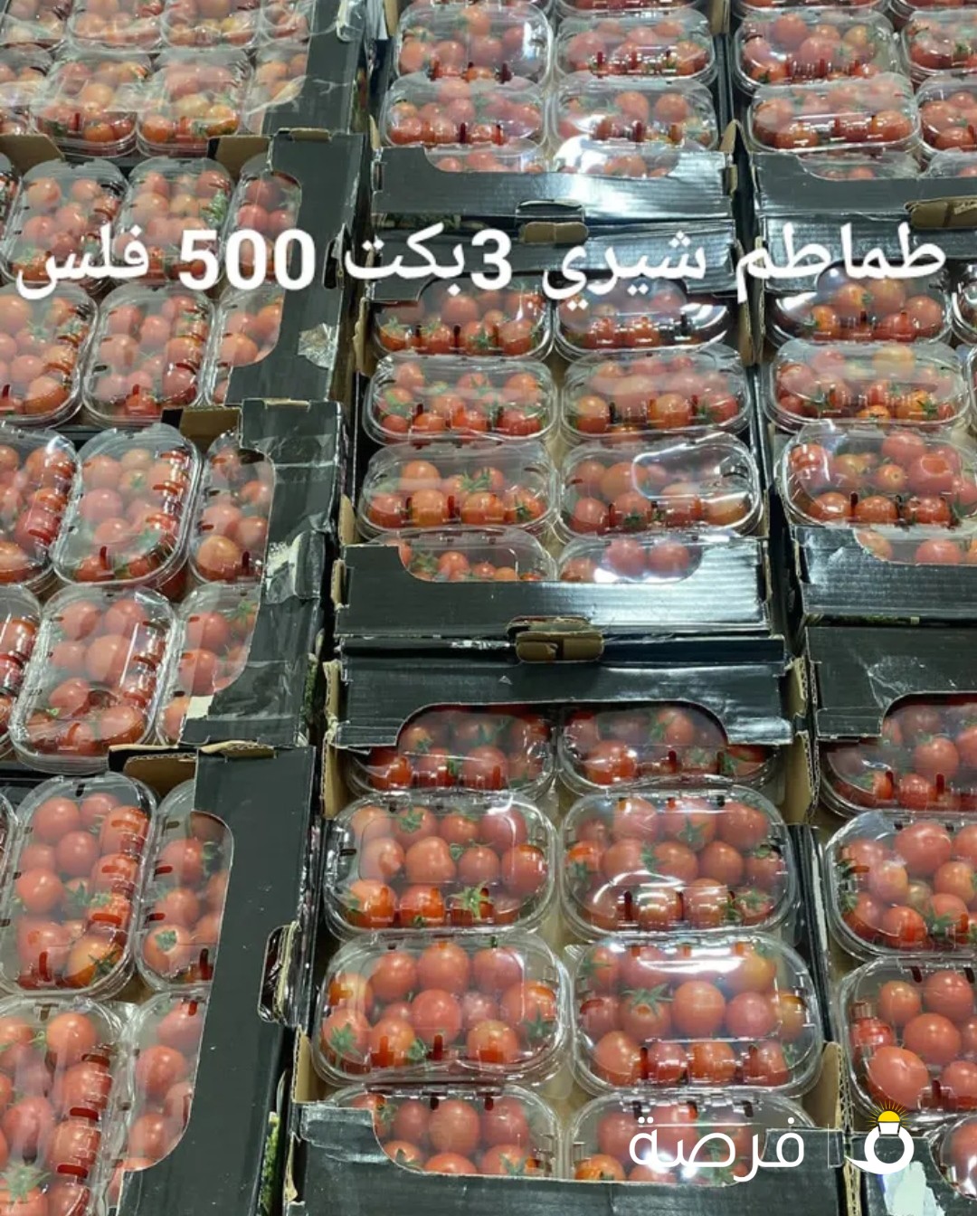 زلزال للخضار والفواكه
