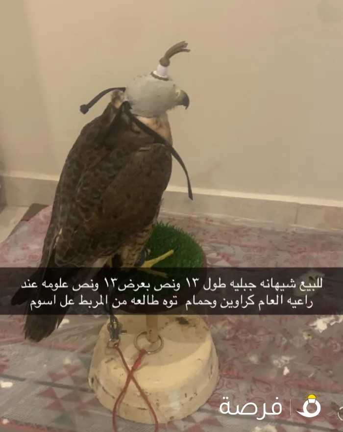للبيع شيهانه جبليه