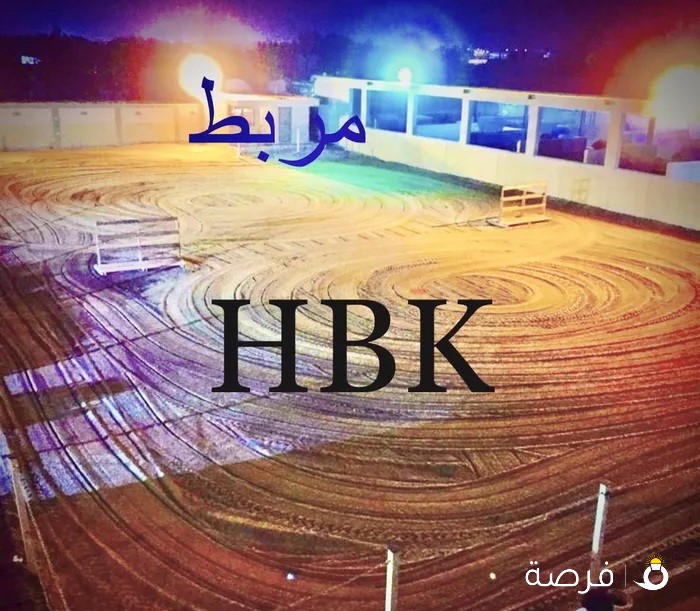 ربط خيول