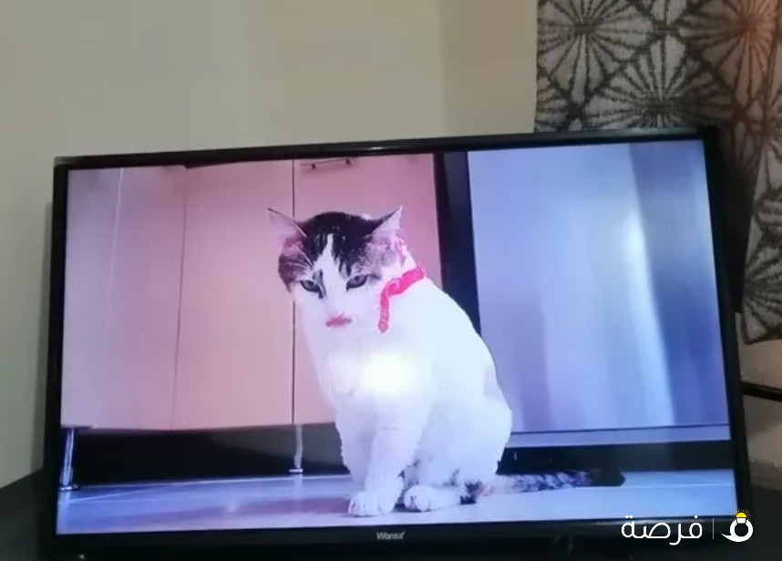 Wansa 32" LED TV