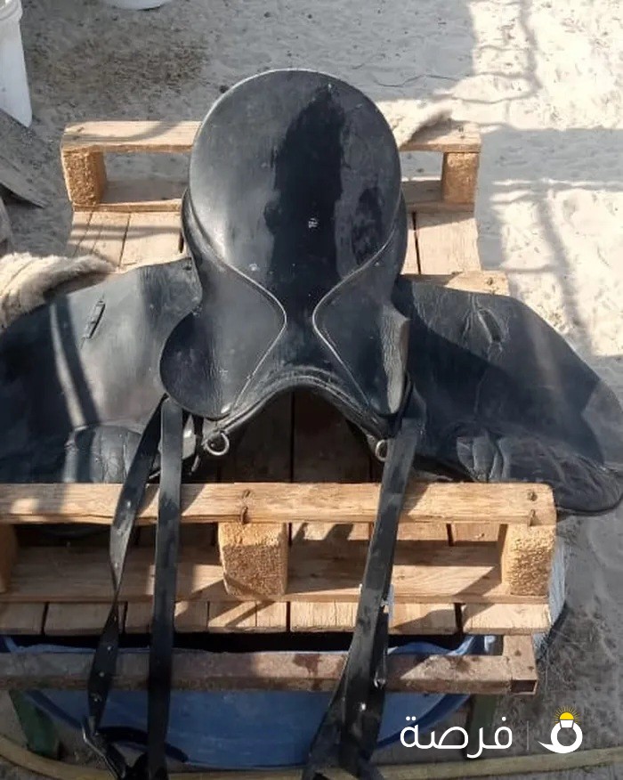سرج خيل مستعمل