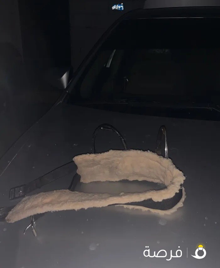 سرج ستيتس هندي