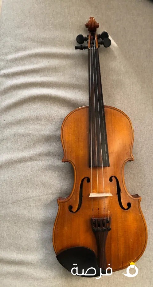 Italian Violin made in Italy 1949 by Michele De Luccia