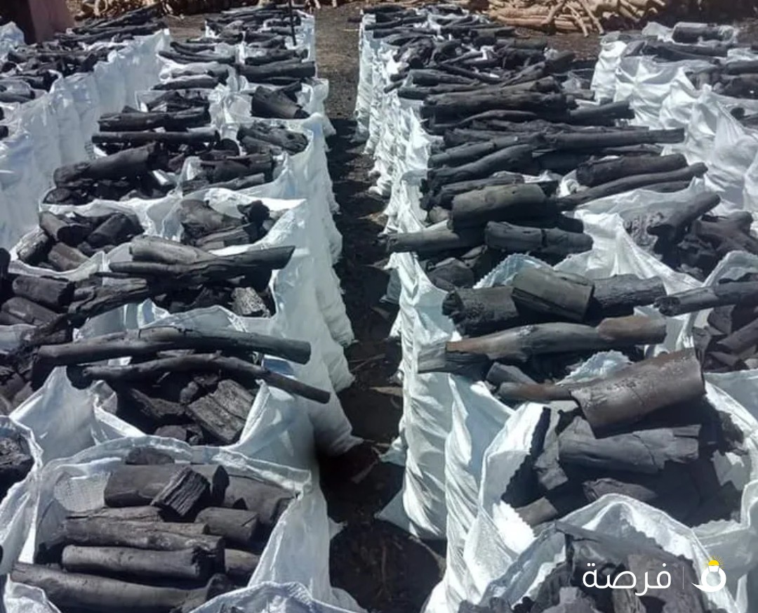 فحم مصري