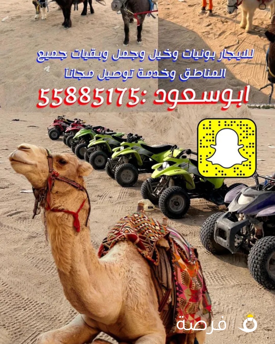 للإيجار ، باقي يات ساعة بقوة 5 حصان مع جمل بوني