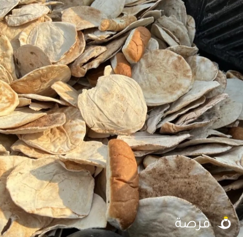 بديل اعلاف الحيوانات
