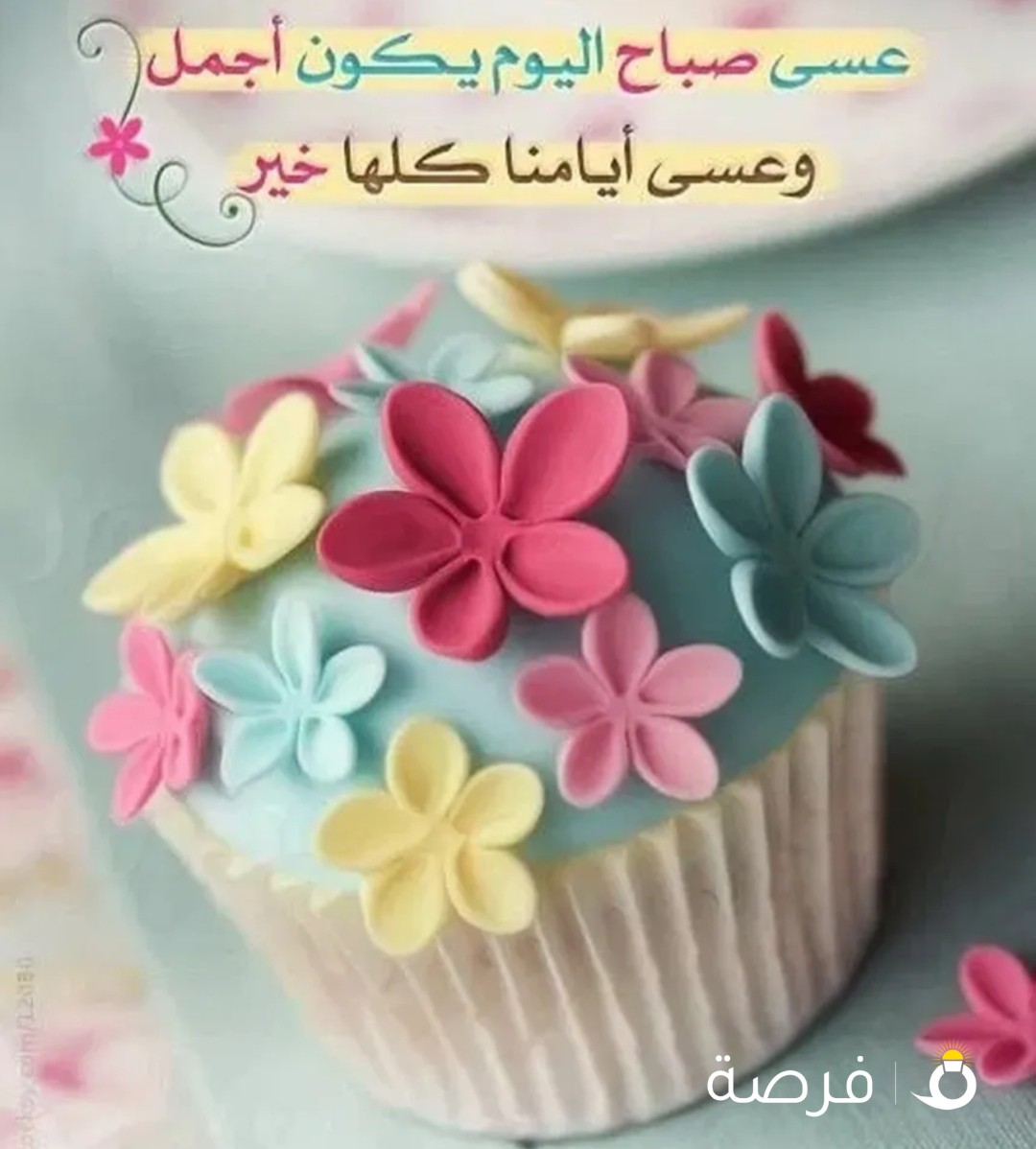 مطلوب ( ويتر ) جرسون ذو خبره من (داخل الكويت )فقط