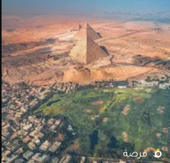 مطلوب سايق توصيل بالطلب لصباح الاحمد