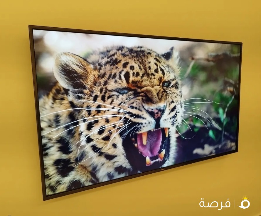 تلفزيون ال جي 55 LG 4K UHD