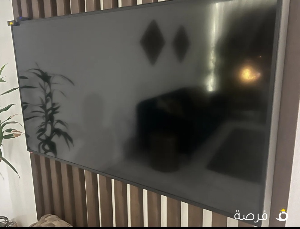تلفزيون ونسا 55بوصة