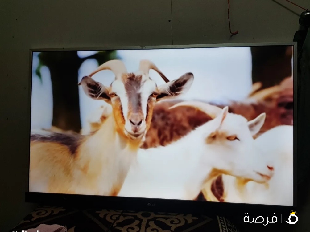 Wansa 50 inch led tv
