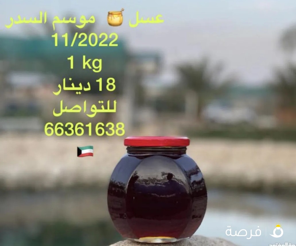عسل سدر انتاج 2022/11