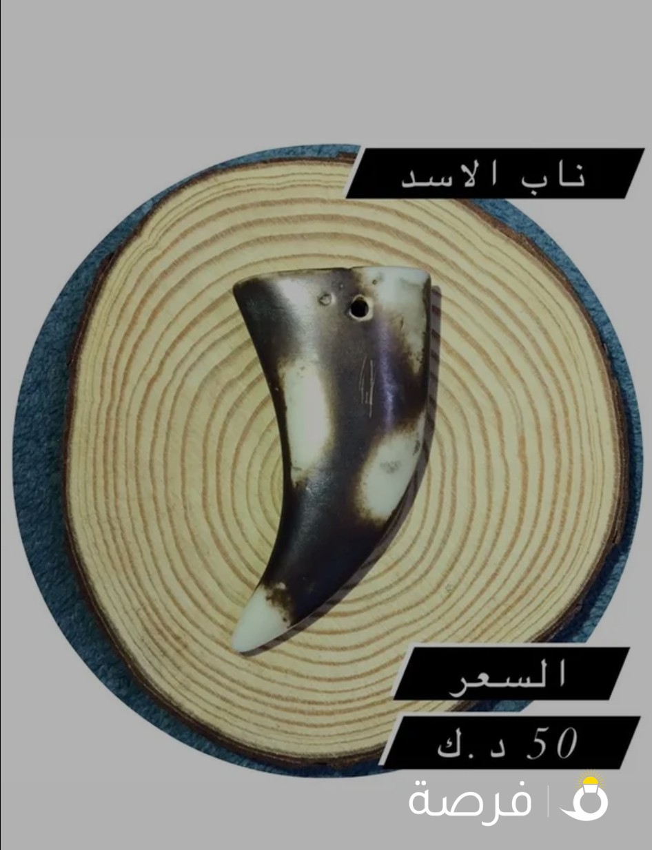 ناب اسد