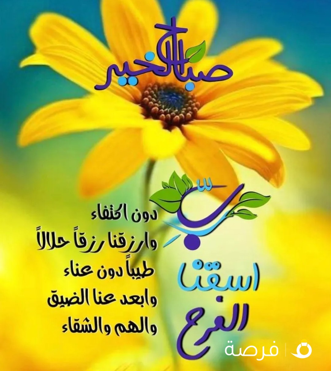 خط اوريدو مسبق الدفع ....