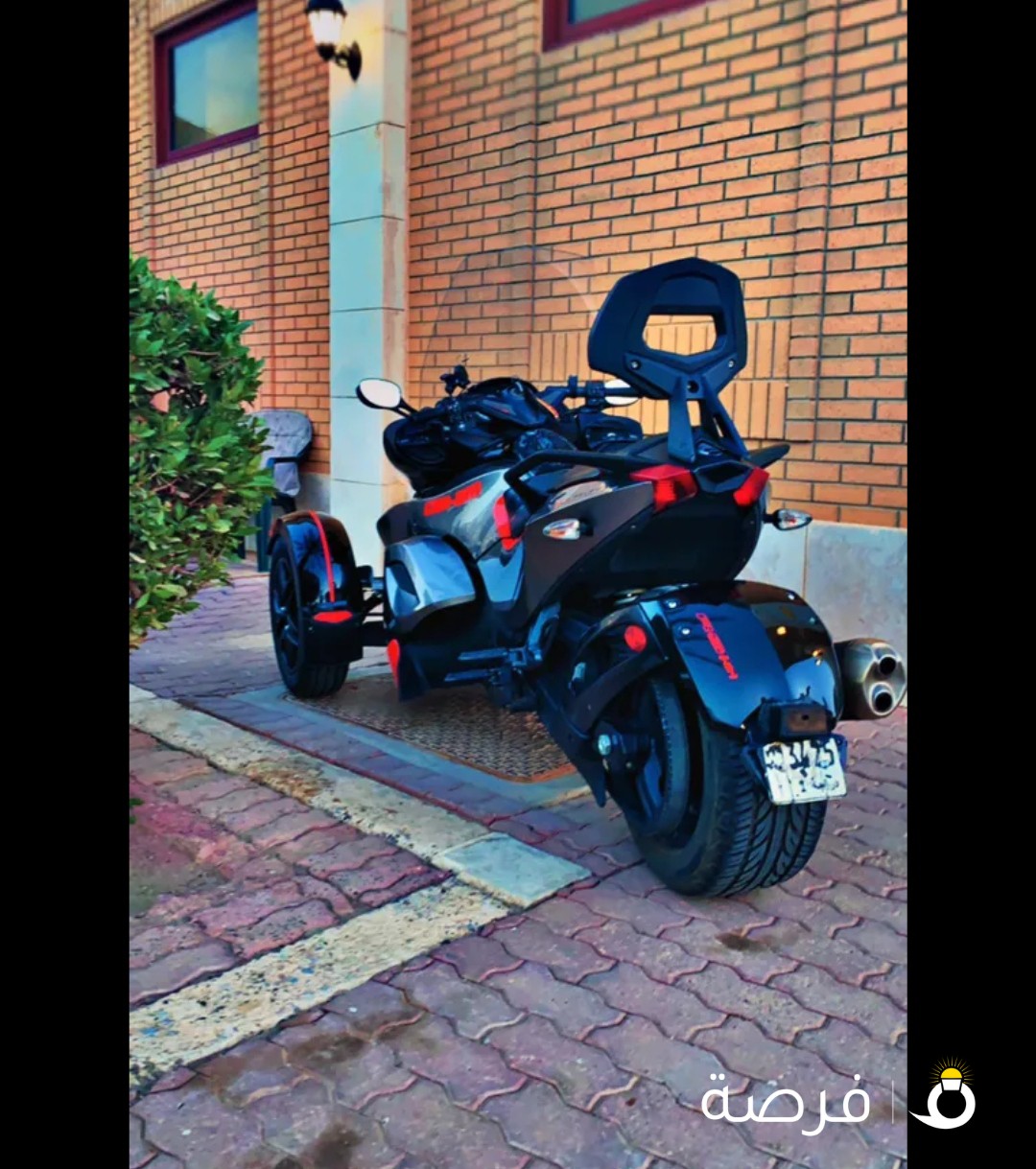كانام سبايدر
