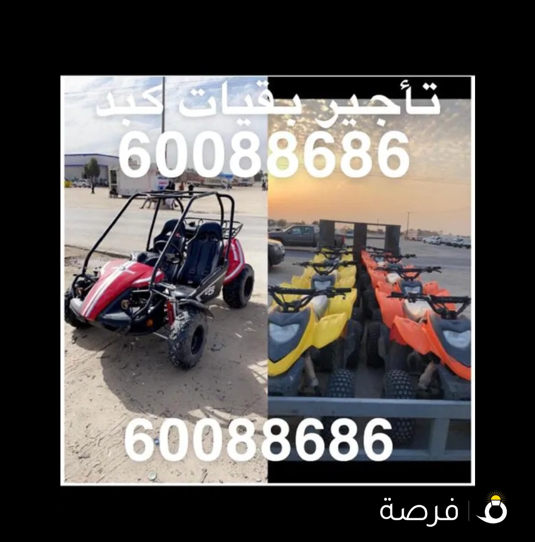 تاجير بقيات كبد