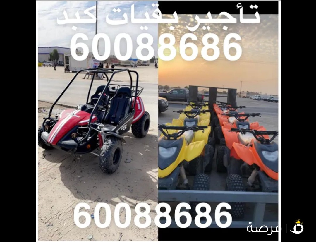 تاجير بقيات كبد للعائلات فقط والتوصيل مجاناً