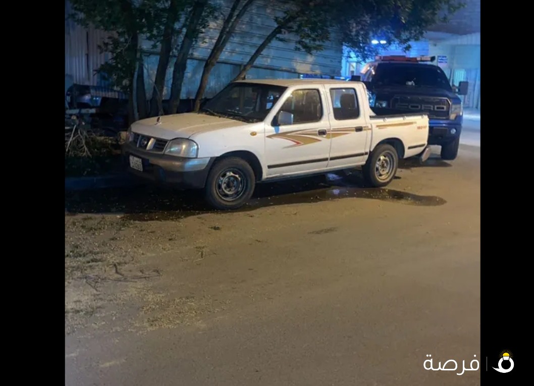 البيع ددسن الفين 2011