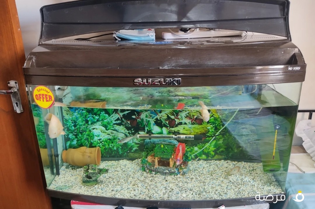 Meter fish tank