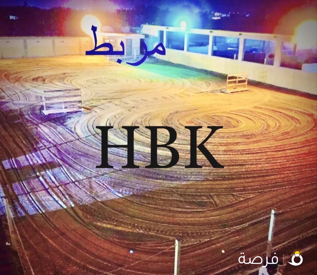 ربط خيول