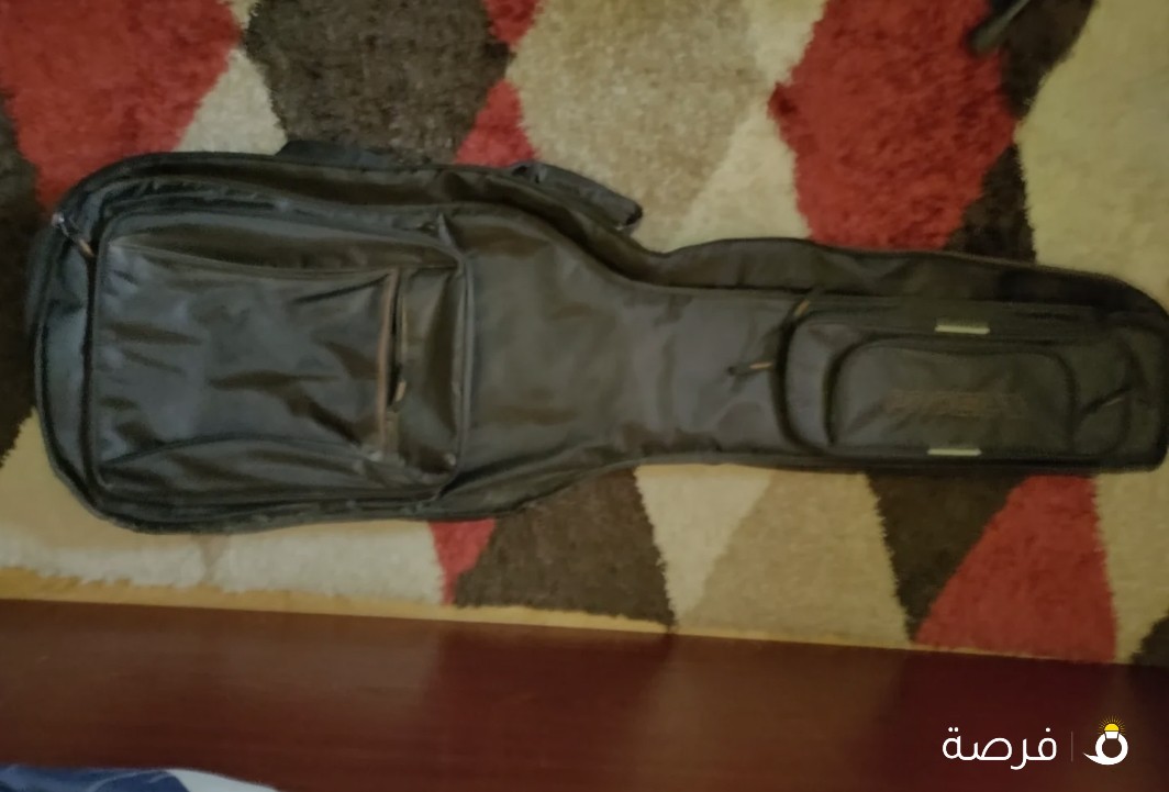 Stelsie Bass Guitar