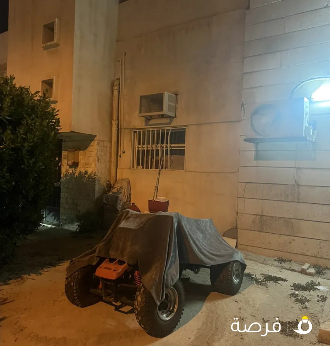 للبيع بانشي