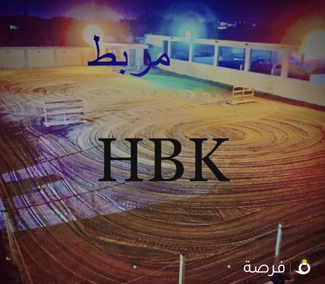 ربط خيول