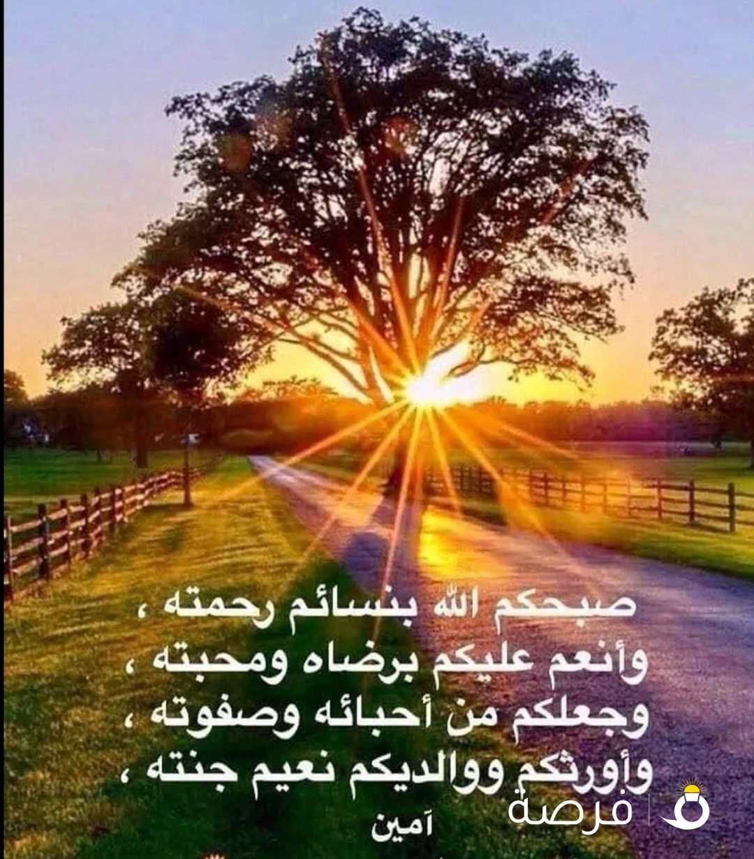 شقه للايجار غرفه وصاله وافدين عوائل بعبد الله مبارك