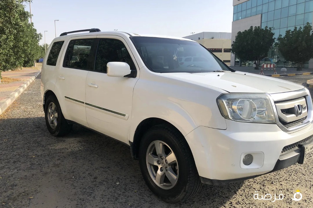 بايلوت 2011