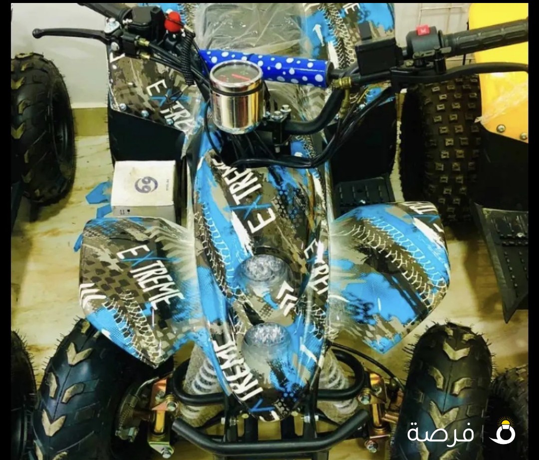 بقي صيني جديد