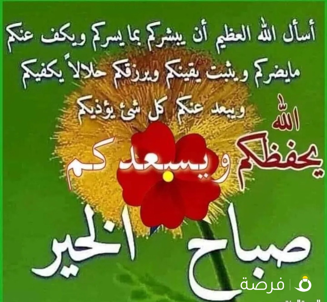 شقه للايجار غرفه وصاله صغيره وافدين عوائل بعبد الله مبارك