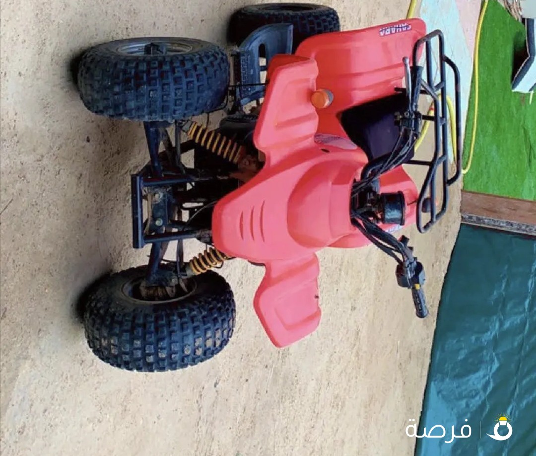 بقي عميري نظيف حجم 100 - فحص شغال