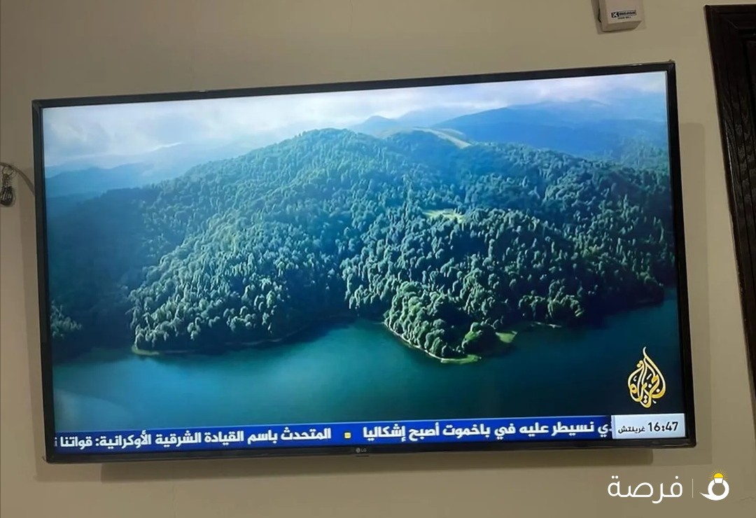 55" LG Smart TV with Wall Mount