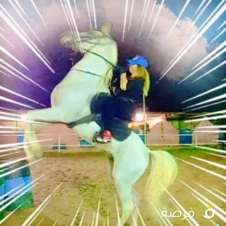 مدربة خيل?