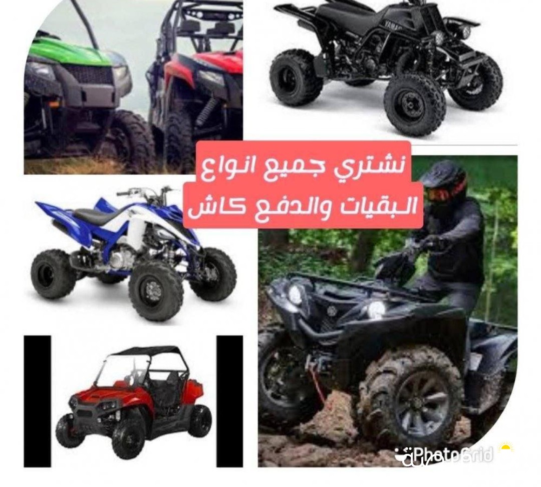 نشتري جميع انواع البقيات