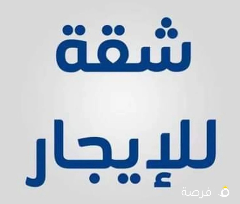 شقه للايجار المؤقت