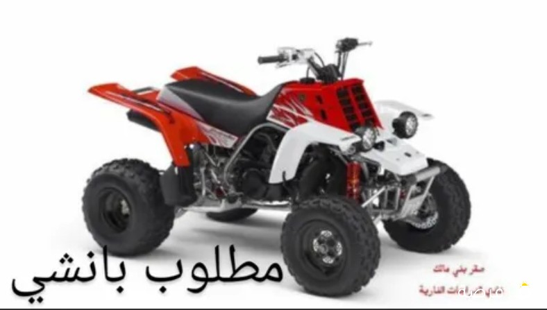 مطلوب بانشي من 2008فوق