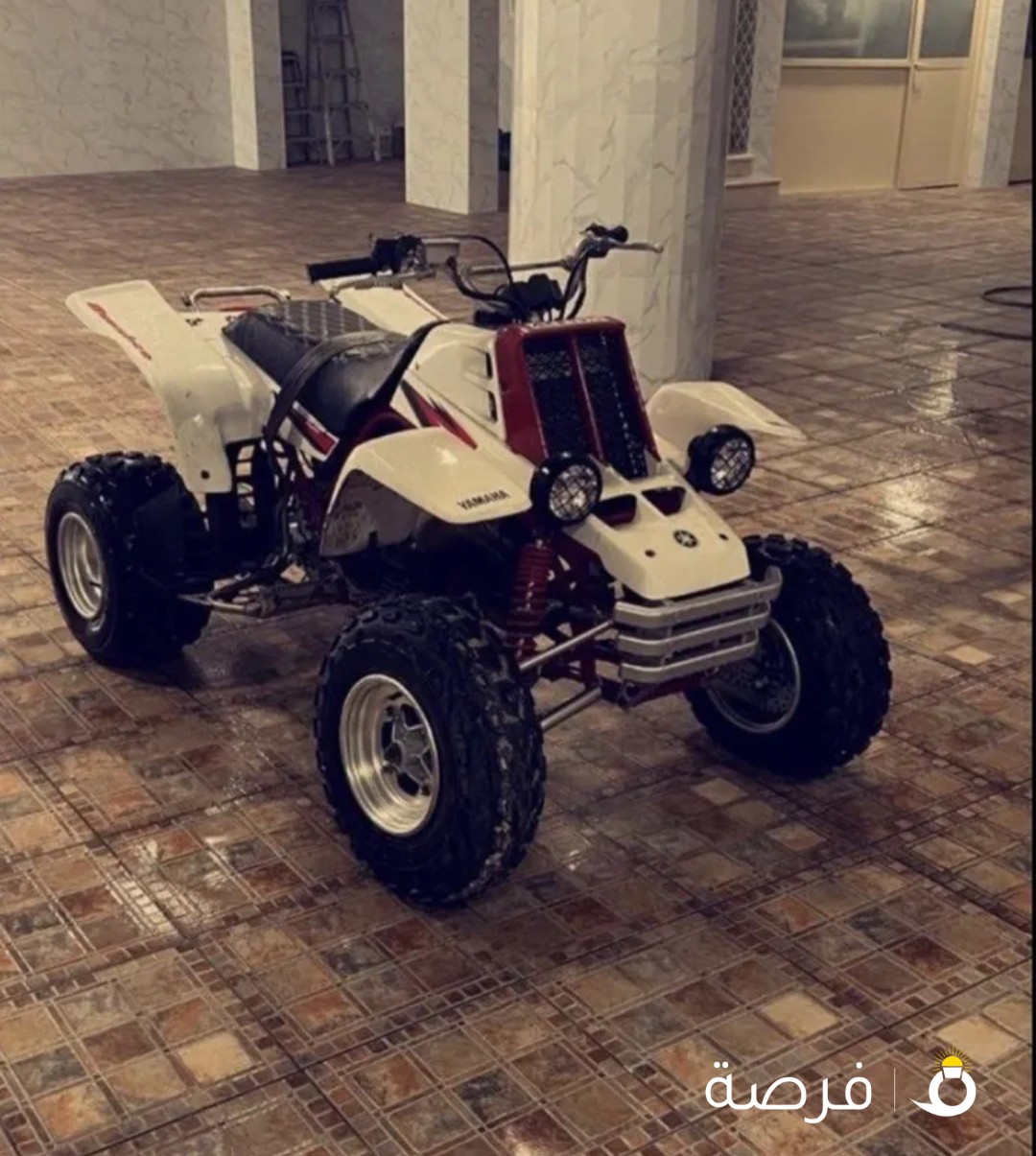 مطلوب بانشي نضيف