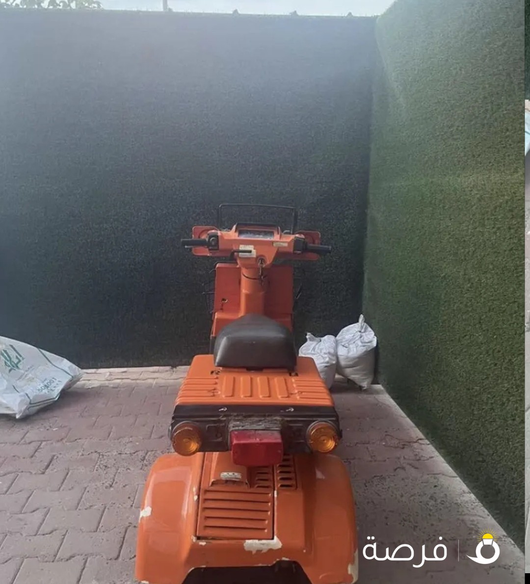 سيكل موديل 2021