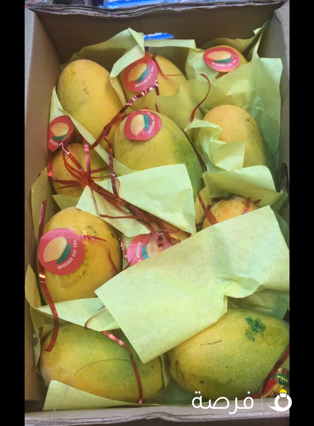 Pakistani fruit fresh available in kuwait