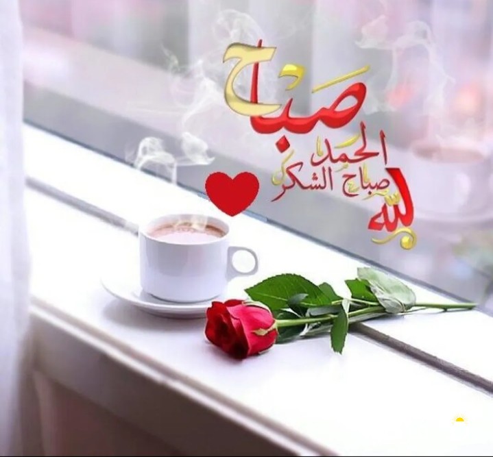 شقه الحساوي