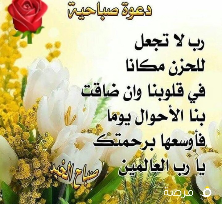 اشبيلية: ،،ق2