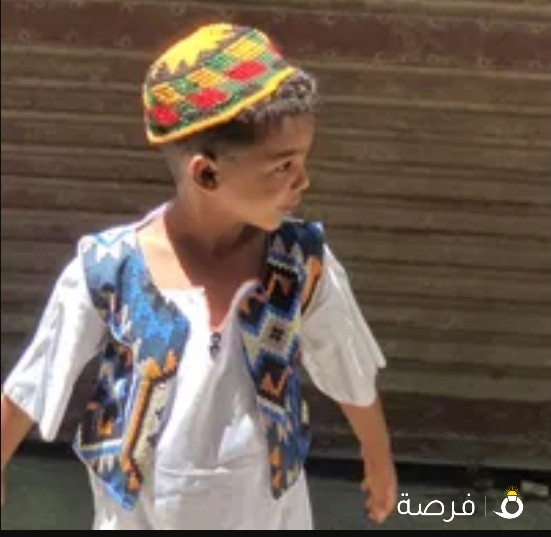 ابحث عن عمل سائق خاص مادة 20تحويل إقامة نوبي
