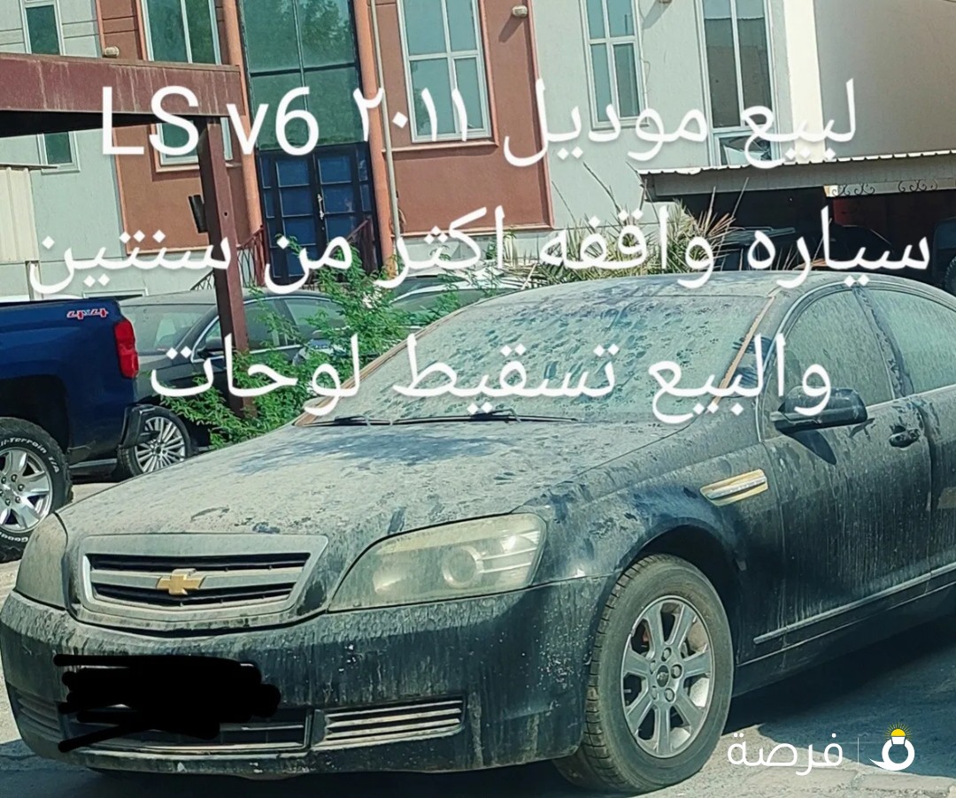 بيعه سريعه كابرس امريكي دورية