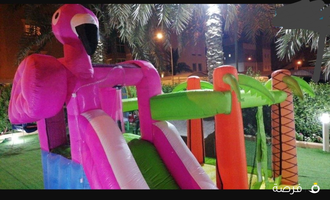 للبيع نطاطية الفلامنجو المائيه