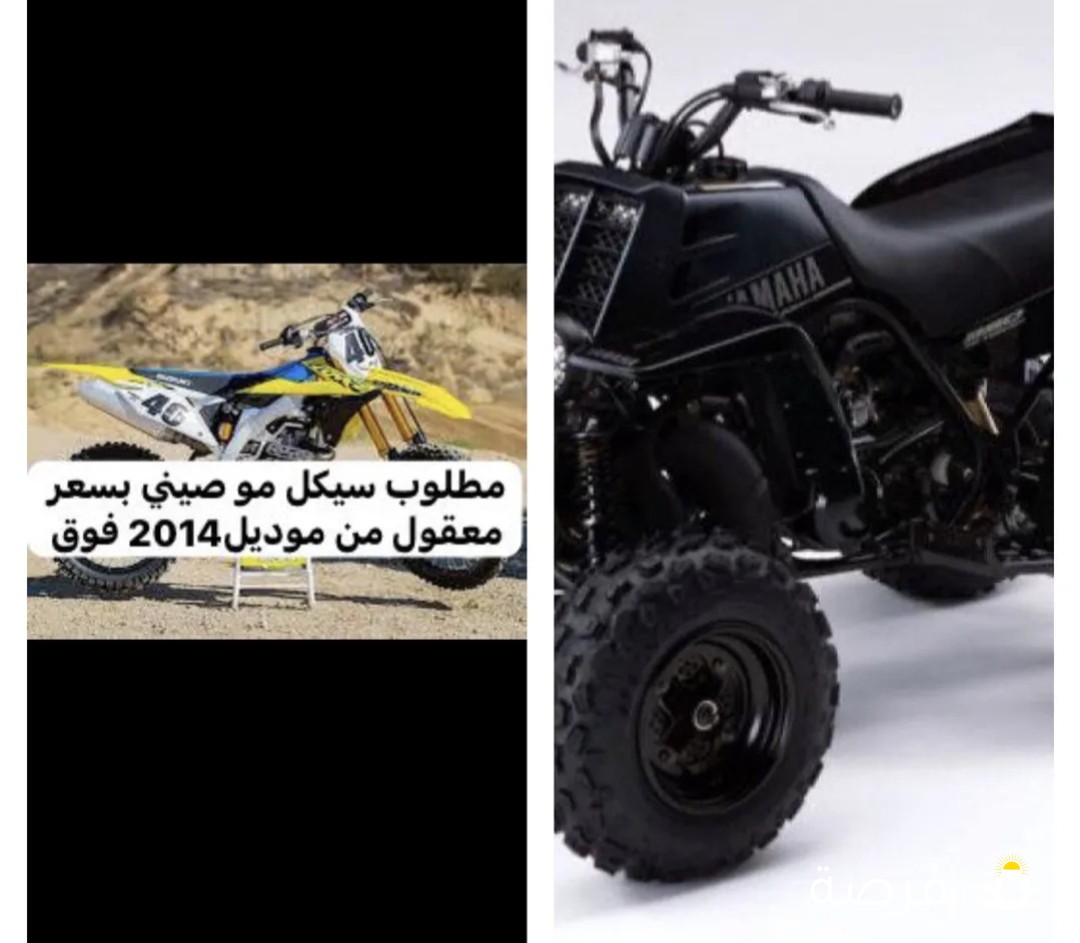 مطلوب بانشي او سيكل مو صيني