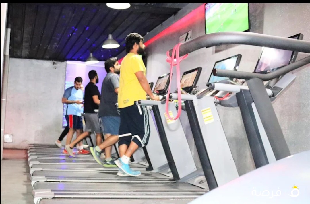 Titanium Shark Gym