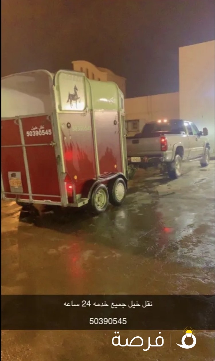 نقل خيل خدمه 24 ساعه