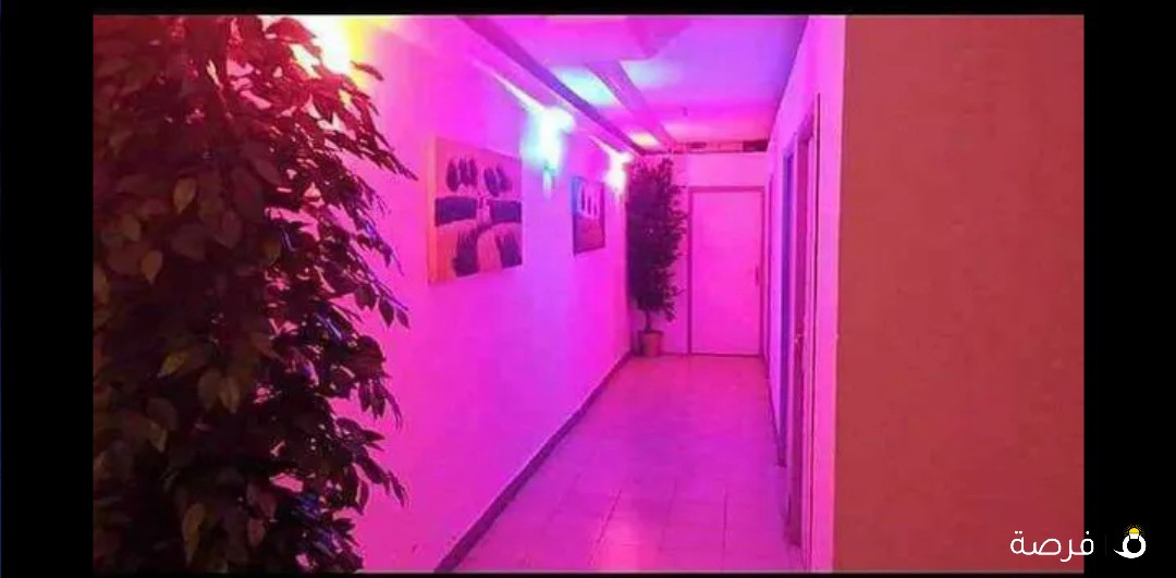 مساج بزيت الزيتون الحار مساج إسترخاء مساج شاتسو ستاف فلبن وهندي ومصري ونوبي