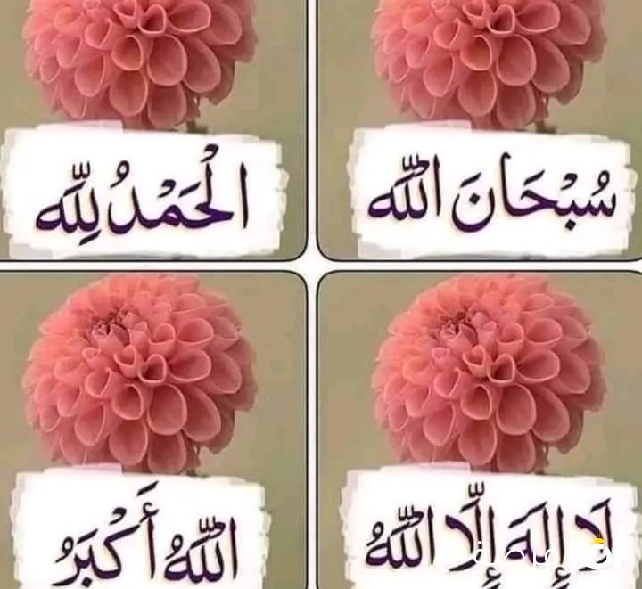 نشتري الأجهزة الكهربائية والشقق الكامله